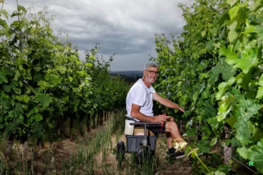 Portrait corporate au Domaine Musset-Roullier, Anjou dans les vignes