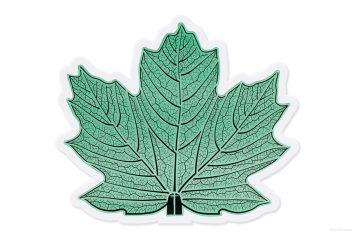 Photos de produits