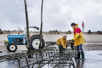 reportage photo chez boulan cap ferret