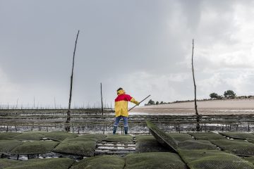 reportage photo chez boulan cap ferret