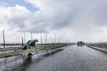 reportage photo chez boulan cap ferret