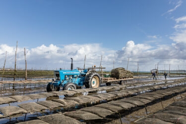 reportage photo chez boulan cap ferret