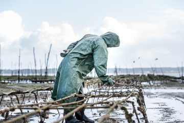 reportage photo chez boulan cap ferret