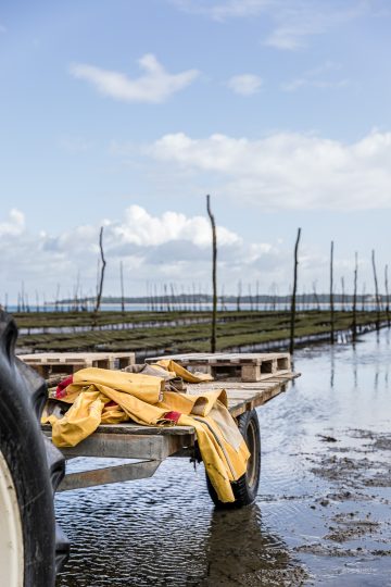 reportage photo chez boulan cap ferret