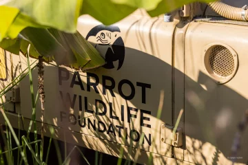 Reportage Parrot World