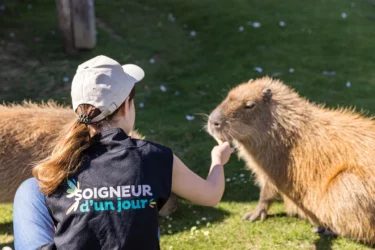 Reportage Parrot World