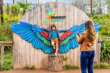 Reportage Parrot World