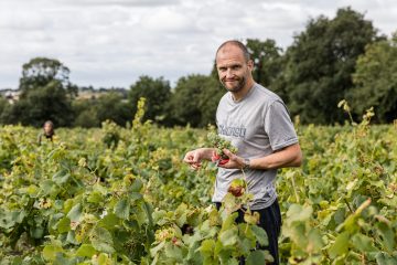 Vendanges Les Arpentis