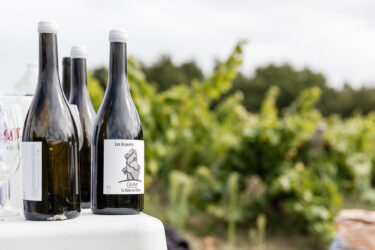 Vendanges Les Arpentis