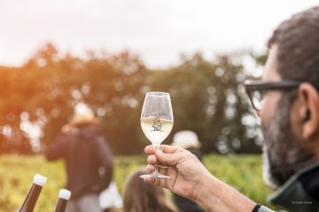 Vendanges Les Arpentis