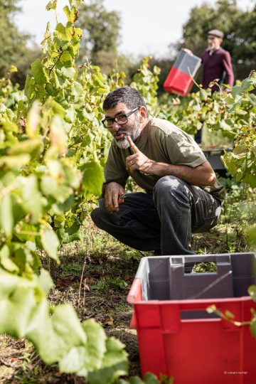 Vendanges Les Arpentis