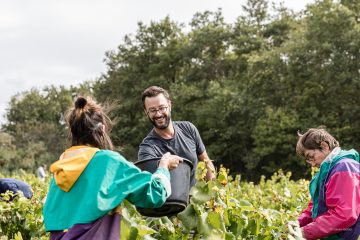 Vendanges Les Arpentis