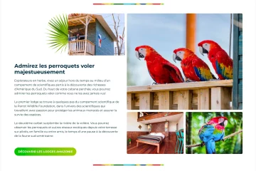 Publications Web Diverses