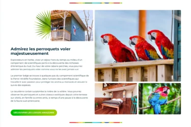 Publications Web Diverses