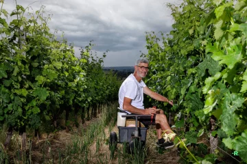 Portraits-Vignoble-Musset-Roullier-Ronan-Rocher